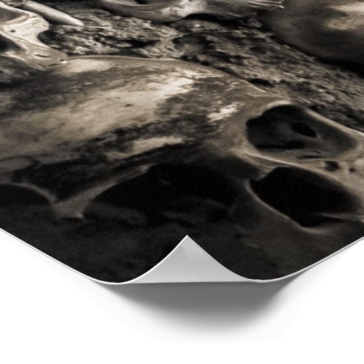 Wall Full Of Skulls And Bones In The Bone Chapel ポスター (角)