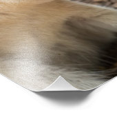 Wallabyプロファイル フォトプリント (角)