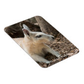 Wallabyプロファイル マグネット (右側)