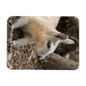 Wallabyプロファイル マグネット (横)