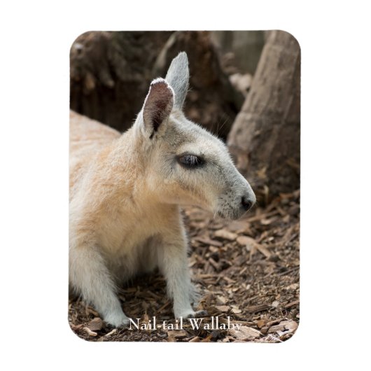 Wallabyプロファイル マグネット (縦)