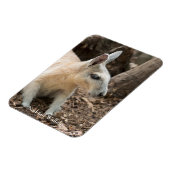 Wallabyプロファイル マグネット (左側)