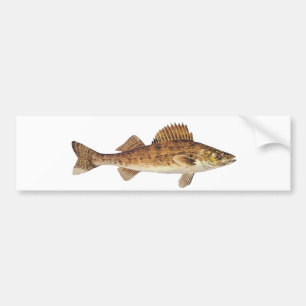 Walleyeの芸術 バンパーステッカー