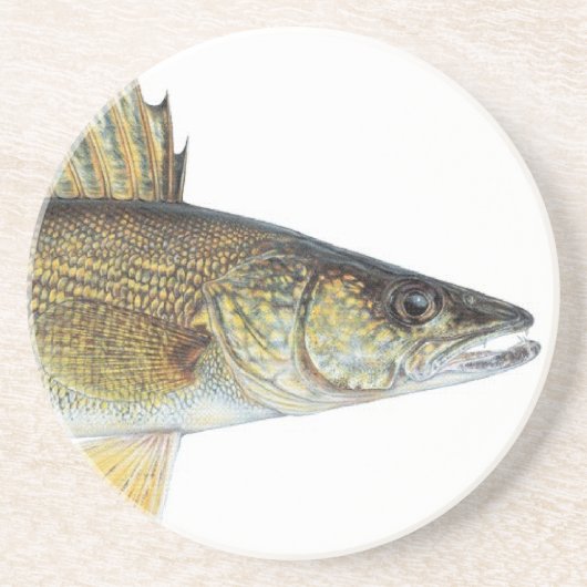 WALLEYE コースター (正面)