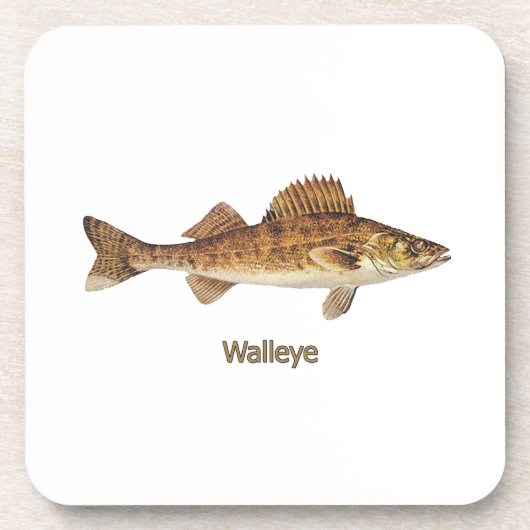 Walleye (五大湖) コースター (正面)