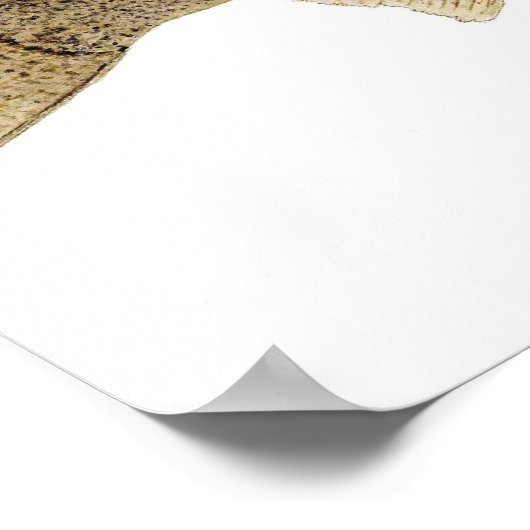 Walleye Art ポスター (角)