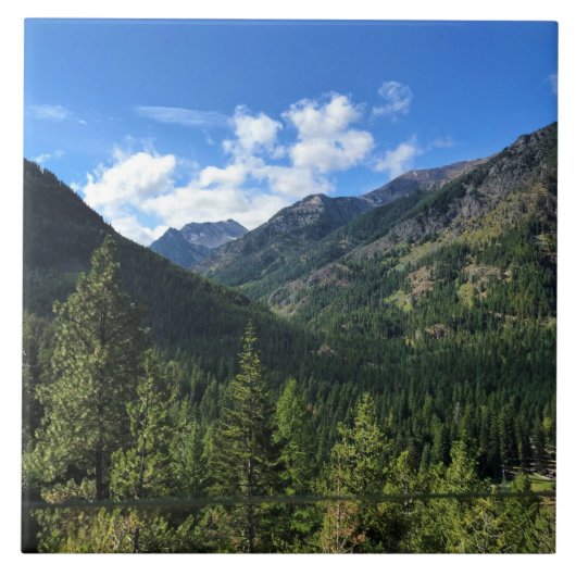 Wallowa Mountains、または タイル (正面)