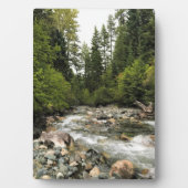 Wallowa River、または フォトプラーク (正面)