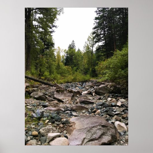 Wallowa River、または ポスター (正面)