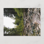 Wallowa River、または ポストカード (正面)