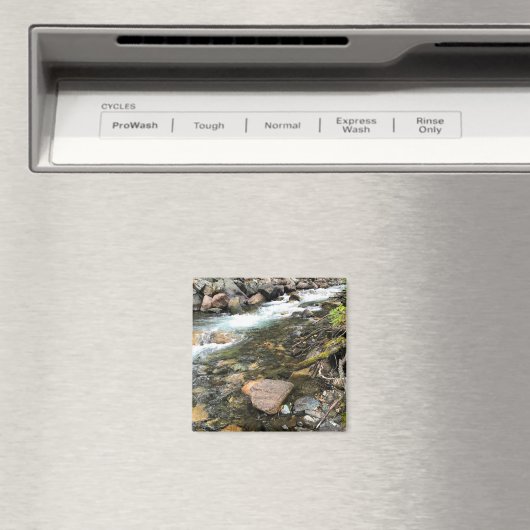 Wallowa River、または マグネット (インサイチュ (食洗機))