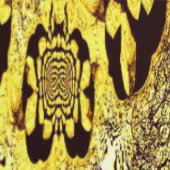 Wallpaper - Saffron Swirl & Midnight Whispers 壁紙 (縫い目)