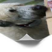 Walls Print - Meat as Motivation ポスター (角)