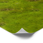 Walnut Creekの谷、オハイオ州(Summer) ポスター (角)