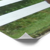 Walnut Hill Carriage Driving Horse Show ポスター (角)