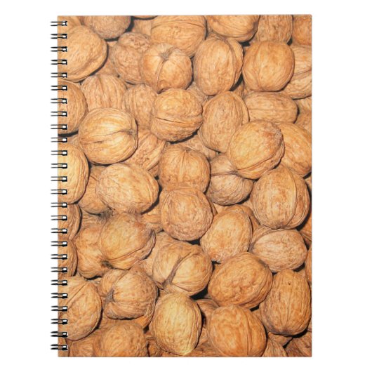 Walnuts Nuts ノートブック (正面)