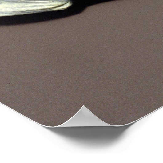 Walrus、Cape Dorsetより ポスター (角)