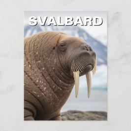 Walrus in Svalbard Norway ポストカード