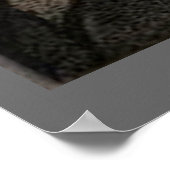 Walt Whitman - Portrait ポスター (角)