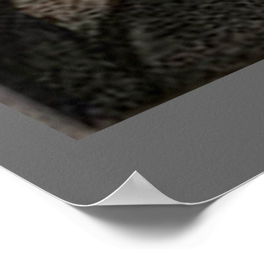 Walt Whitman - Portrait ポスター (角)