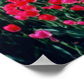 Walt Whitman Tulip Garden Poster ポスター (角)