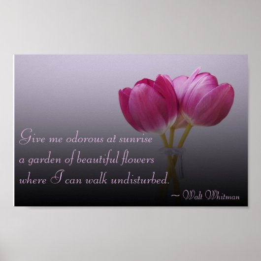 Walt Whitman Tulips Poster ポスター (正面)