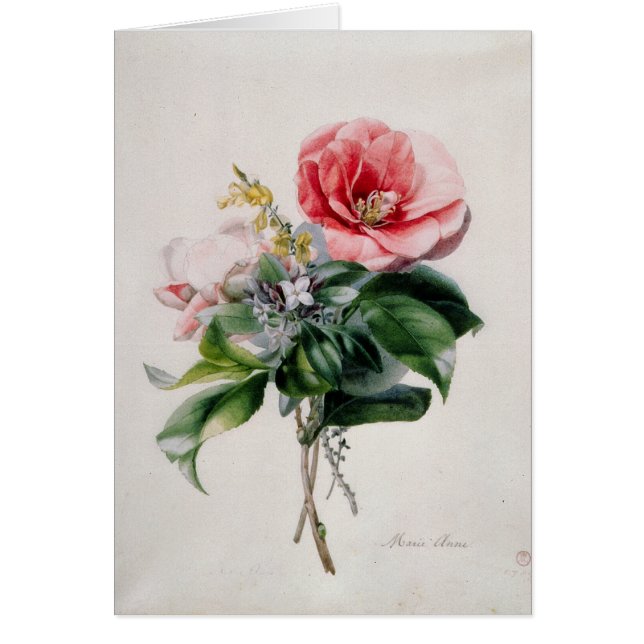 wamelliaおよびほうき (正面)