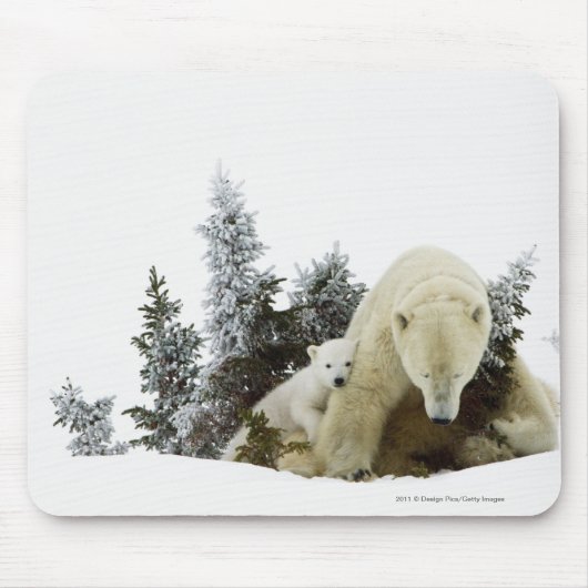 Wapuskの国立公園の白くま マウスパッド (正面)