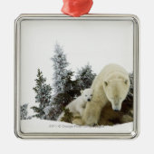 Wapuskの国立公園の白くま メタルオーナメント (正面)
