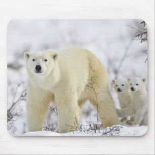 Wapuskの国立公園、カナダ マウスパッド