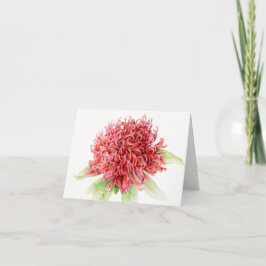 Waratahの赤い花の植物の水彩画の芸術カード カード