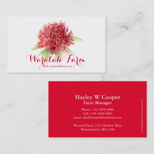 Waratahの赤い花の芸術の農場の名刺 名刺 (正面/裏面)