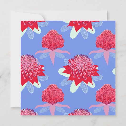 Waratah カード (正面)