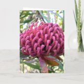 waratah カード (裏面)