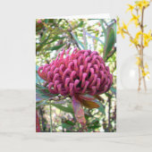 waratah カード (黄色い花)