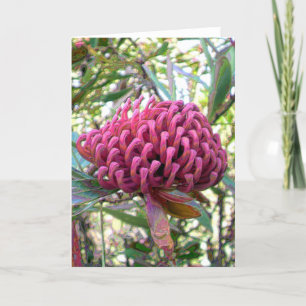 waratah カード