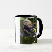 Warbler Bird Photo Mug マグカップ (正面右)