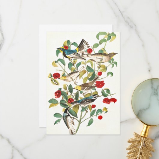 Warbler by John James Audubon サンキューカード (正面/裏面インサイチュ)