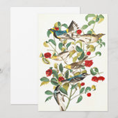 Warbler by John James Audubon サンキューカード (正面/裏面)