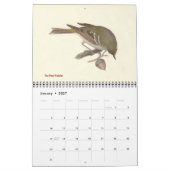 Warbler Collection #1 NYの鳥からのリトグラフ カレンダー (1月 2027)