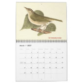 Warbler Collection #1 NYの鳥からのリトグラフ カレンダー (3月 2027)
