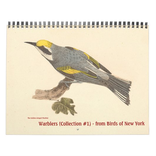 Warbler Collection #1 NYの鳥からのリトグラフ カレンダー (カバー)