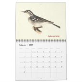 Warbler Collection #2 NYの鳥からのリトグラフ カレンダー (2月 2027)