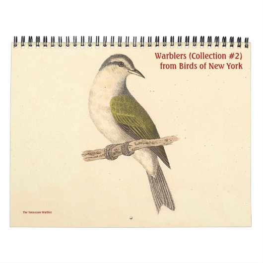Warbler Collection #2 NYの鳥からのリトグラフ カレンダー (カバー)