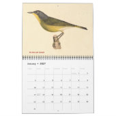 Warbler Collection #2 NYの鳥からのリトグラフ カレンダー (1月 2027)