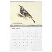 Warbler Collection #2 NYの鳥からのリトグラフ カレンダー (3月 2027)
