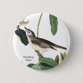 Warbling Vireo John James Audubon Birdwatcher Bird 缶バッジ (正面)