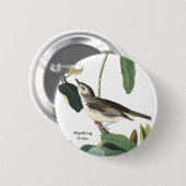 Warbling Vireo John James Audubon Birdwatcher Bird 缶バッジ (正面&裏面)
