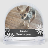 Warm & Fuzzy Wishes Pet (裏面)