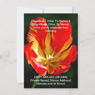Warm Red Orange Tulip Wedding Invitation 招待状
